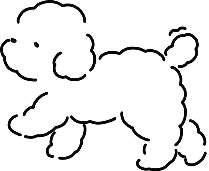 Maltipoo doodle